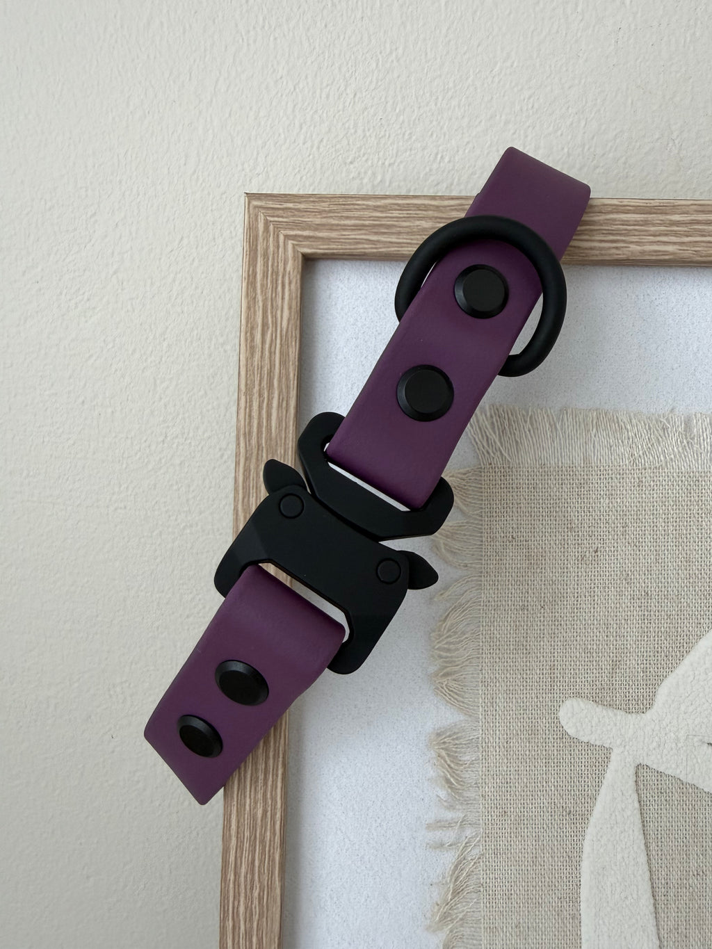 Design Your Own Collar
