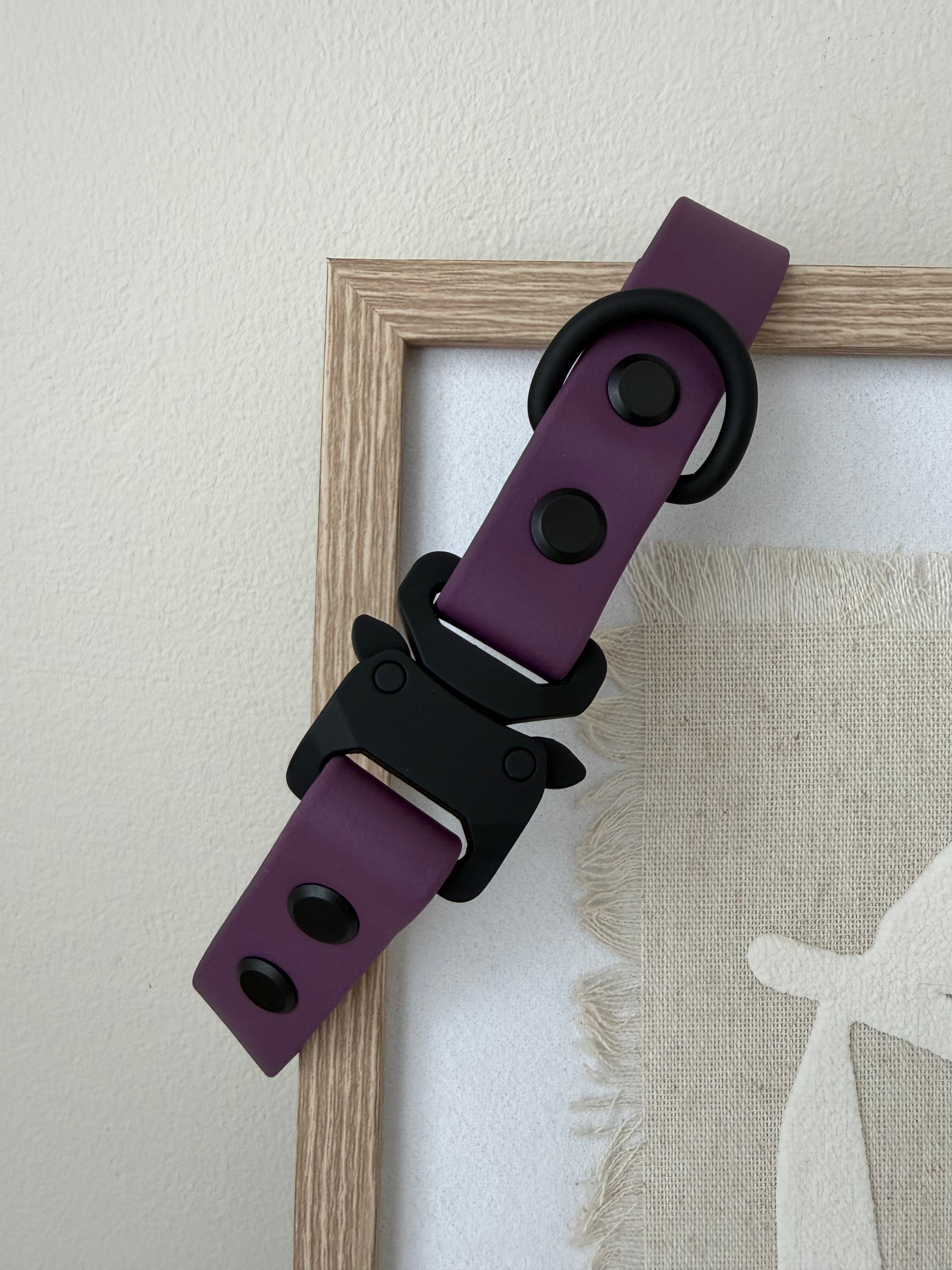 Design Your Own Collar