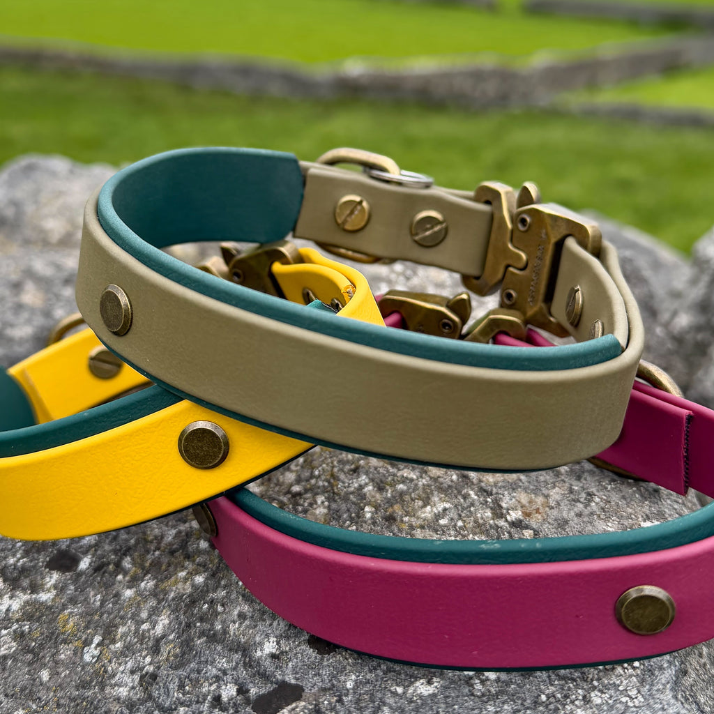 The ‘Ember Ridge’ Collar