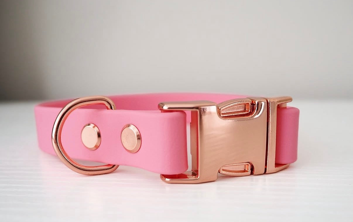 Design Your Own Collar