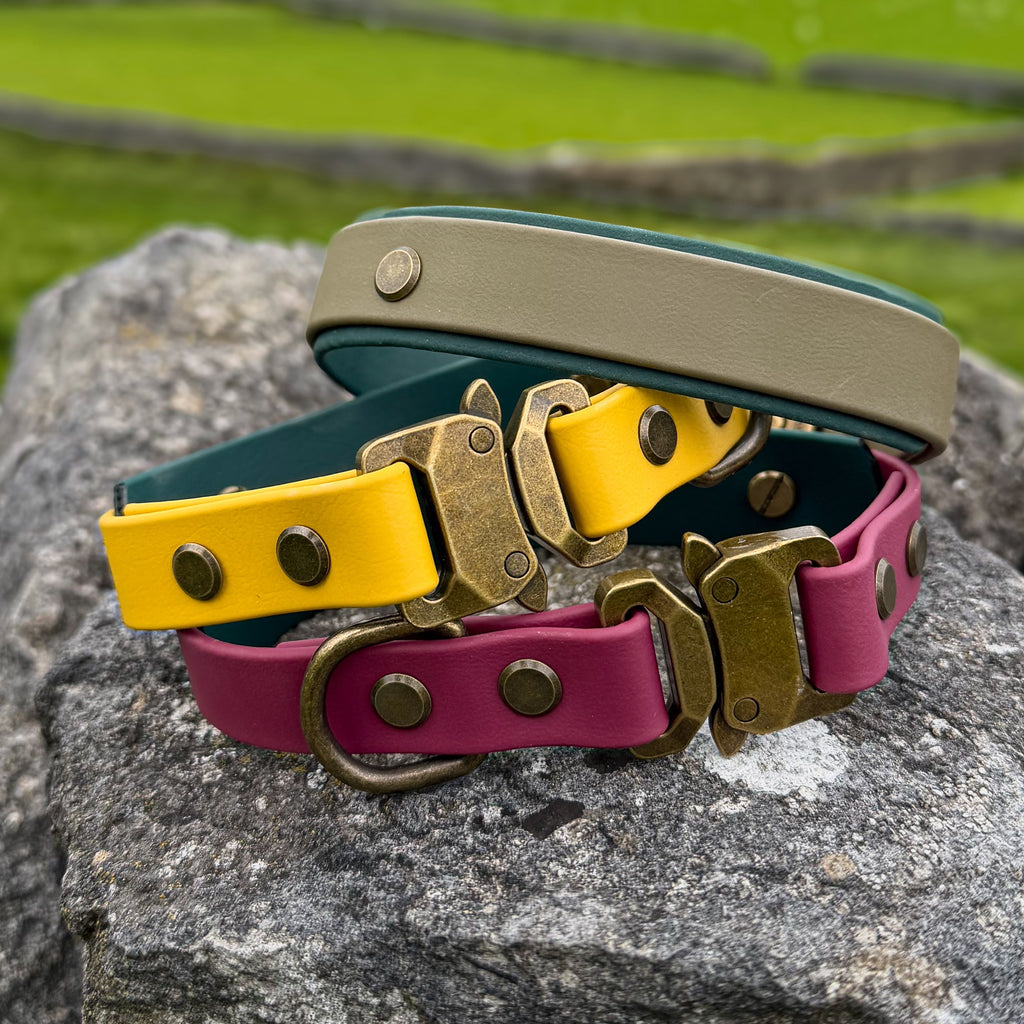 The ‘Ember Ridge’ Collar