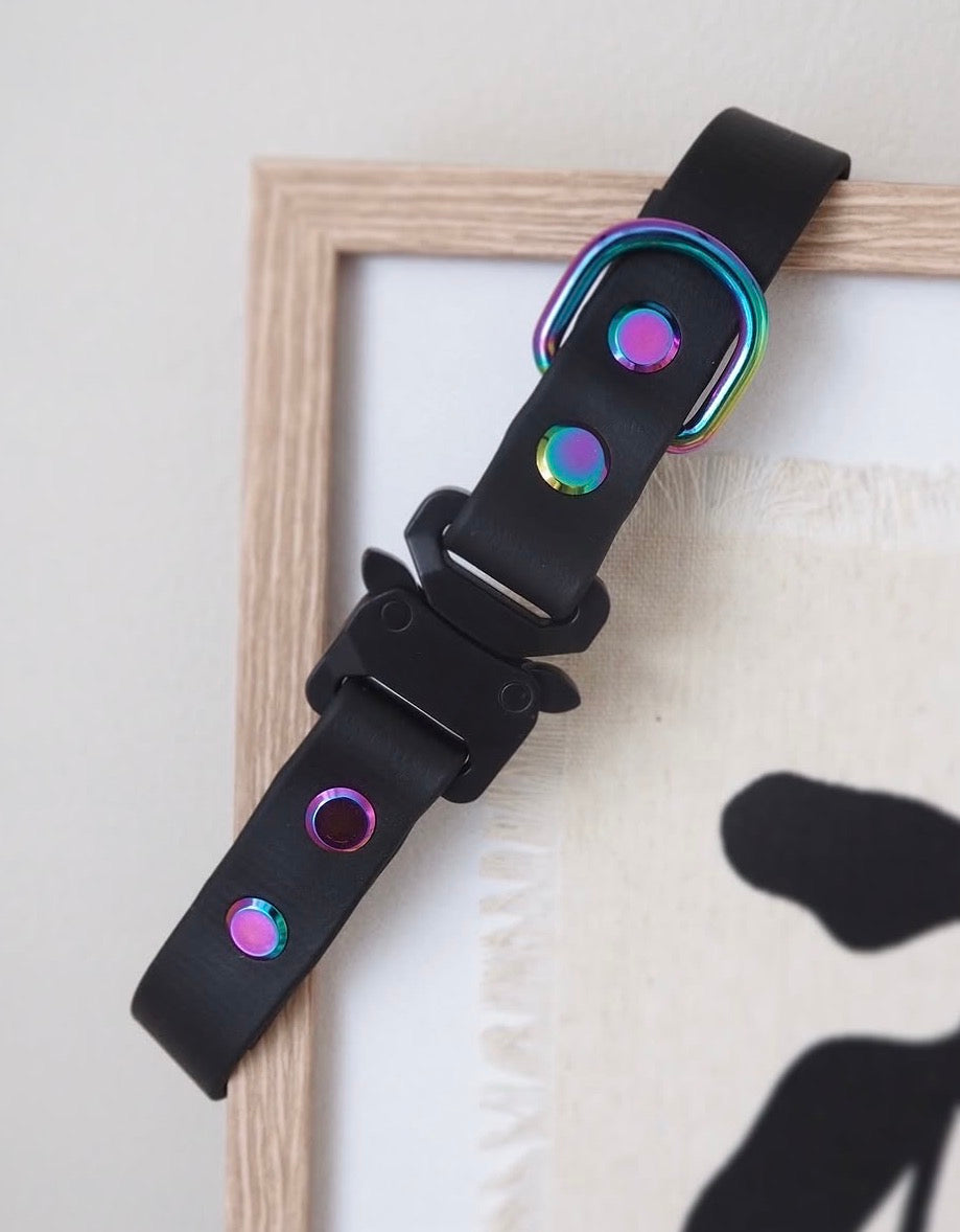 Design Your Own Collar
