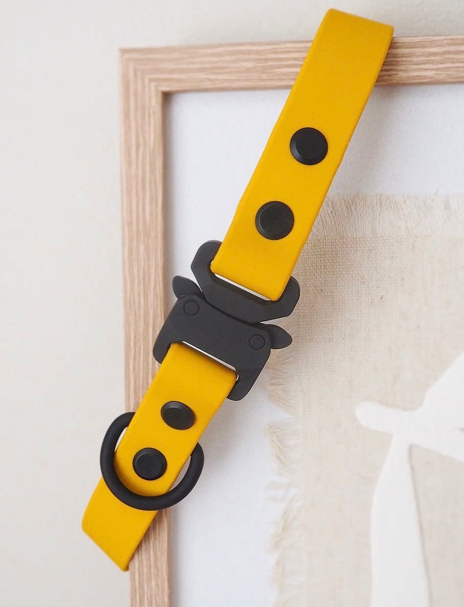 Design Your Own Collar