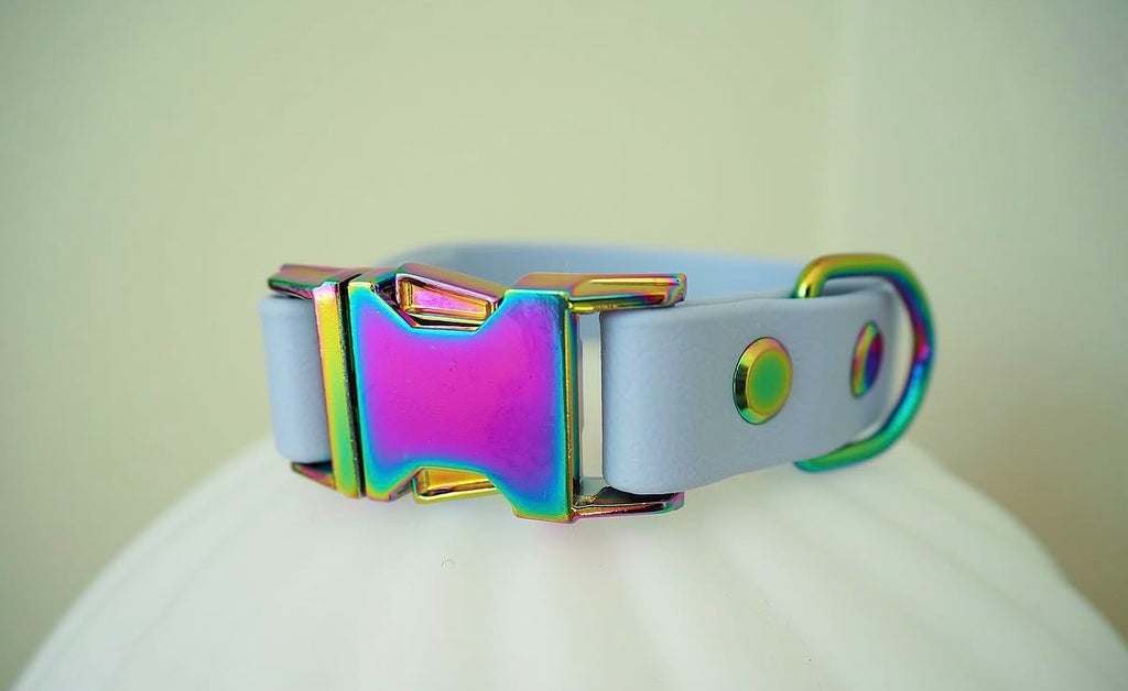 Design Your Own Collar