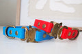 Design Your Own Collar