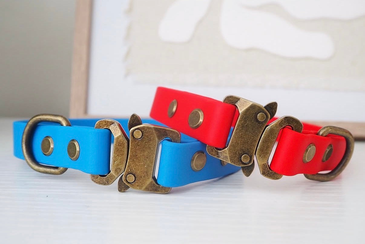 Design Your Own Collar